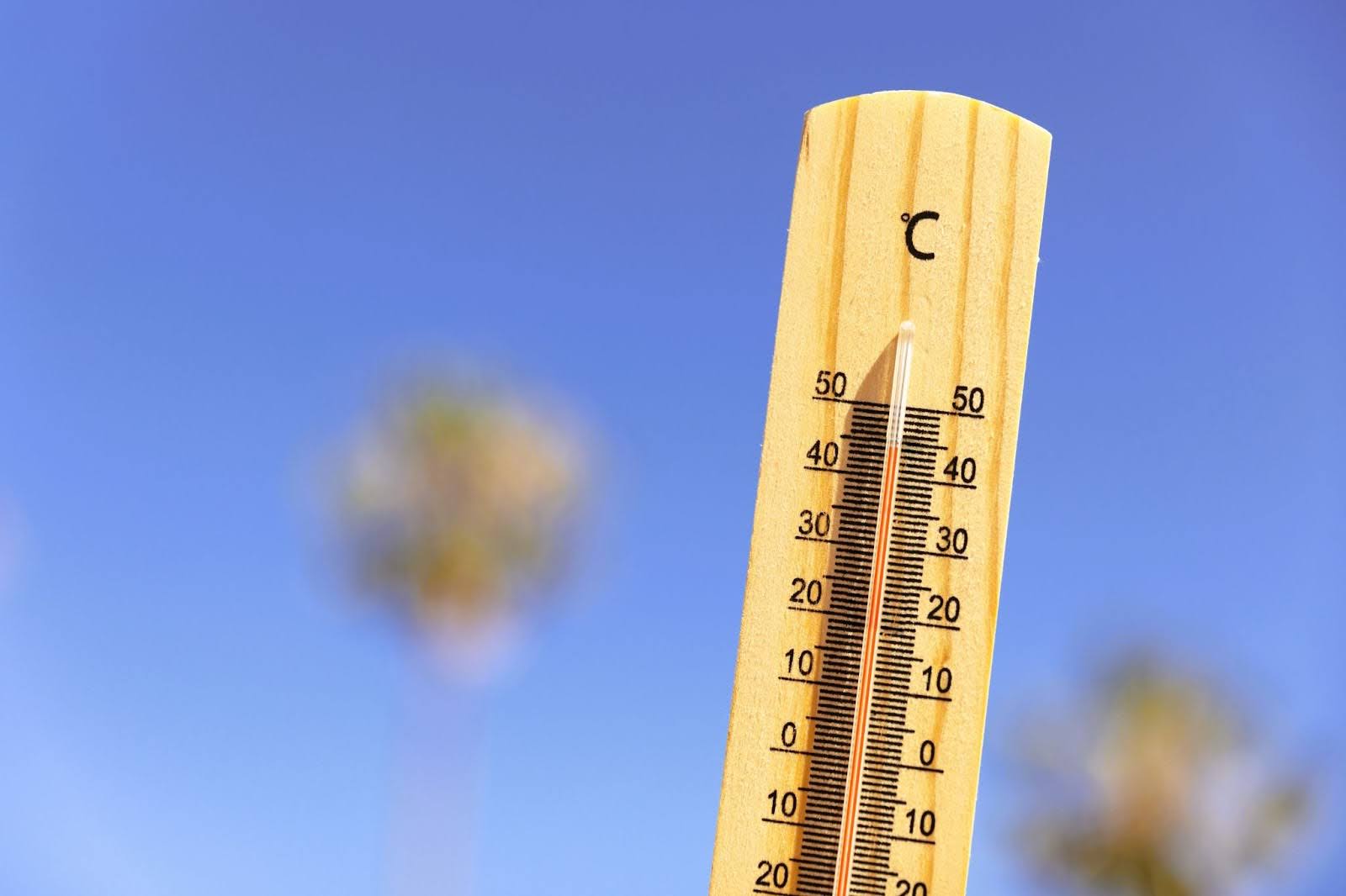 The right temperature of home infrared sauna sessions provides maximum health benefits